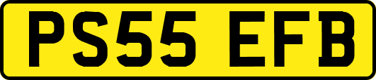 PS55EFB
