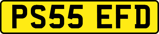 PS55EFD
