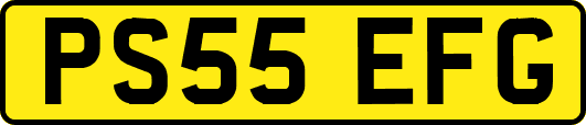 PS55EFG