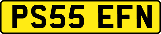 PS55EFN