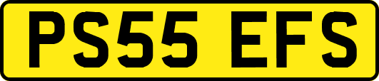 PS55EFS