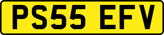 PS55EFV