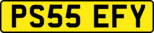 PS55EFY