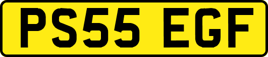 PS55EGF