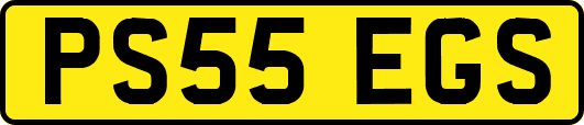 PS55EGS
