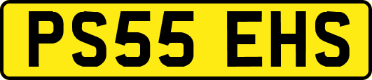 PS55EHS