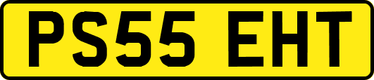 PS55EHT