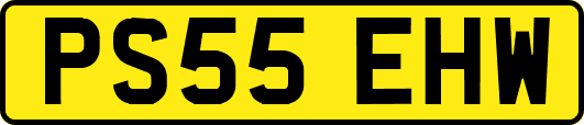PS55EHW