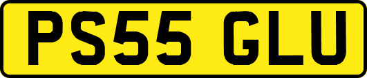 PS55GLU