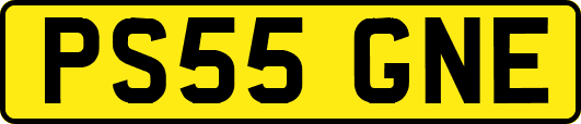 PS55GNE
