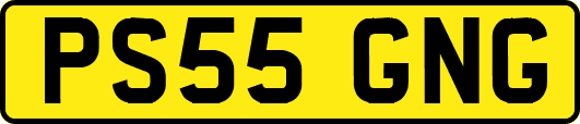 PS55GNG