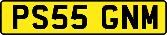 PS55GNM