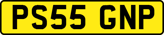 PS55GNP