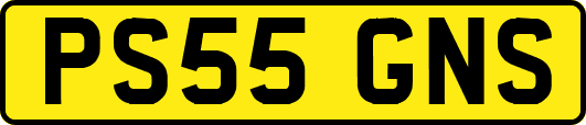PS55GNS