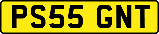 PS55GNT