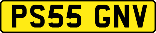 PS55GNV