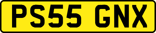 PS55GNX