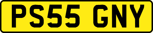 PS55GNY