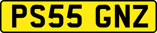 PS55GNZ