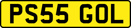 PS55GOL