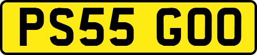 PS55GOO