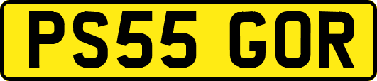 PS55GOR
