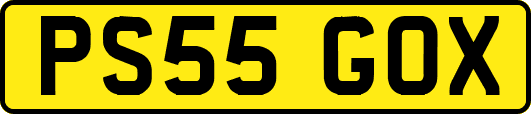 PS55GOX