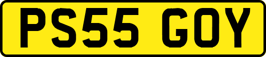 PS55GOY