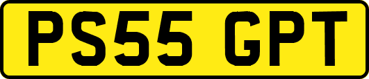 PS55GPT