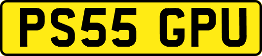 PS55GPU
