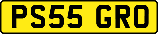 PS55GRO