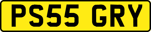 PS55GRY