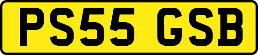 PS55GSB