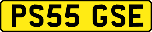 PS55GSE