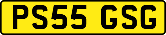 PS55GSG