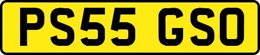PS55GSO