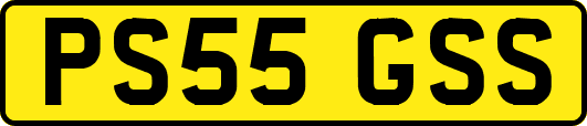 PS55GSS