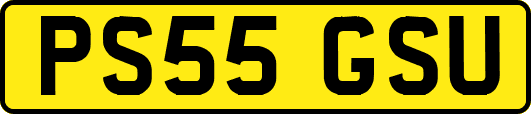 PS55GSU