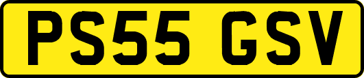 PS55GSV