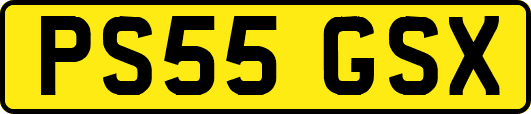PS55GSX