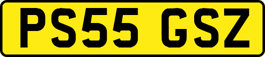 PS55GSZ
