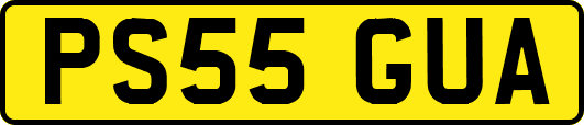 PS55GUA