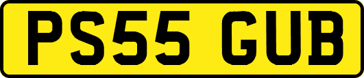 PS55GUB