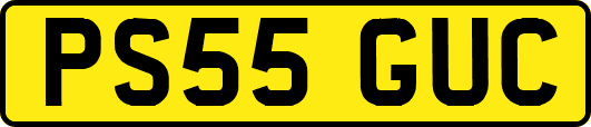 PS55GUC