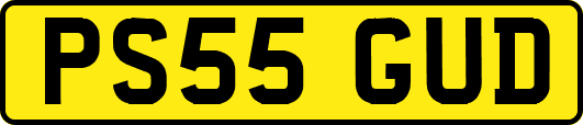 PS55GUD