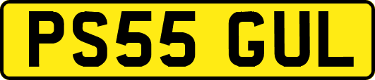 PS55GUL
