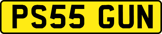 PS55GUN