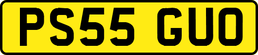PS55GUO