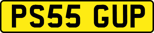 PS55GUP