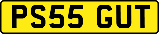 PS55GUT